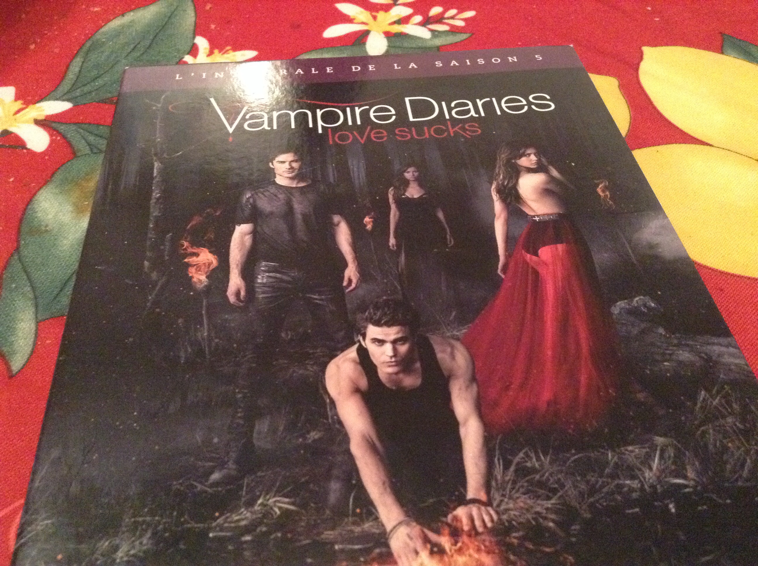 DVD saison 5 Vampire Diaries tre?s bon e?tat .Achete? en 2015 80 Hy�res (83)