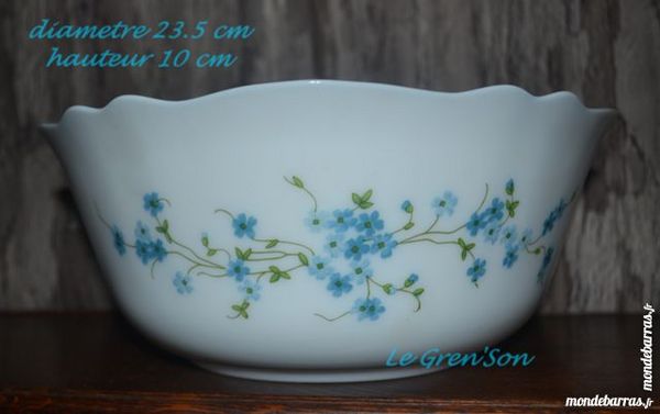 Saladier Arcopal Myosotis 10 Vir�-en-Champagne (72)