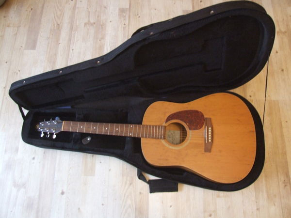 Seagull S6 Cedar electro acoustique 410 Savigna (39)