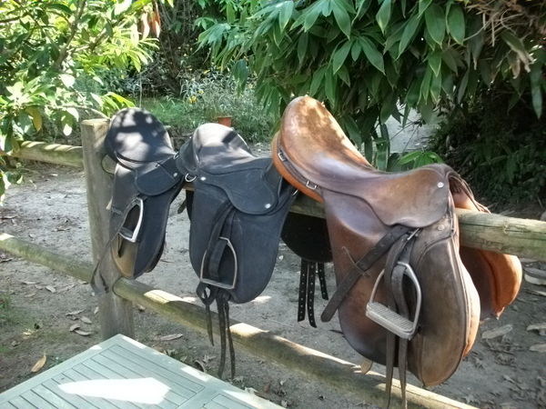 SELLES 200 Bourron-Marlotte (77)