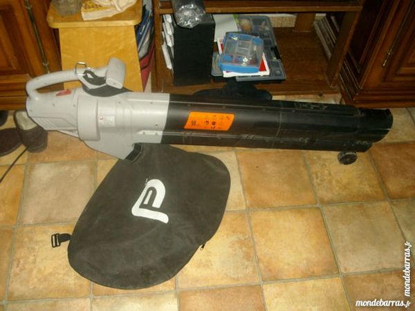 soufflette avec ramasse feuille 20 Reims (51)