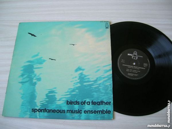 SPONTANEOUS MUSIC ENSEMBLE Birds of a Feather - 30 Nantes (44)