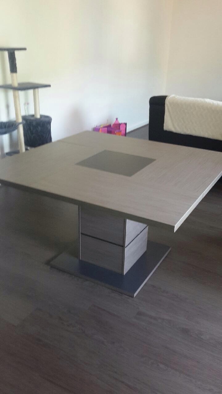table carr� 8 place 250 Terrenoire (42)