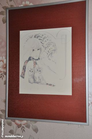 Tableau avec encadrement en alu bross� 14 Antony (92)