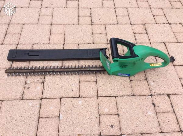 Taille haie 45 Biesheim (68)