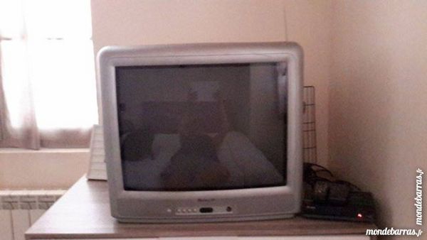 t�l�viseur 51 cm 20 Feyzin (69)