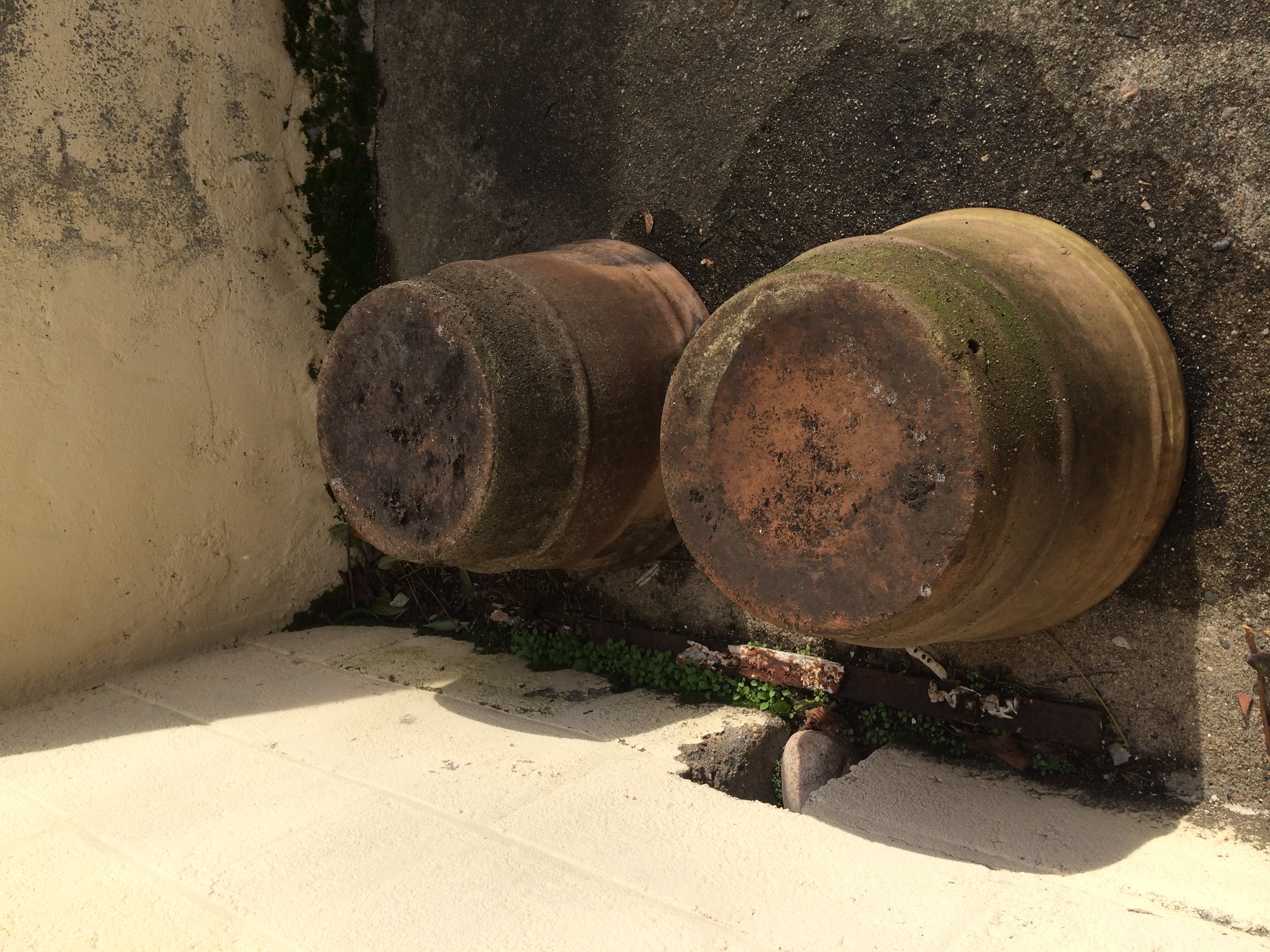 pot terre cuite 35 Saint-�tienne (42)