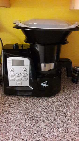 thermogourmet 220 Angers (49)