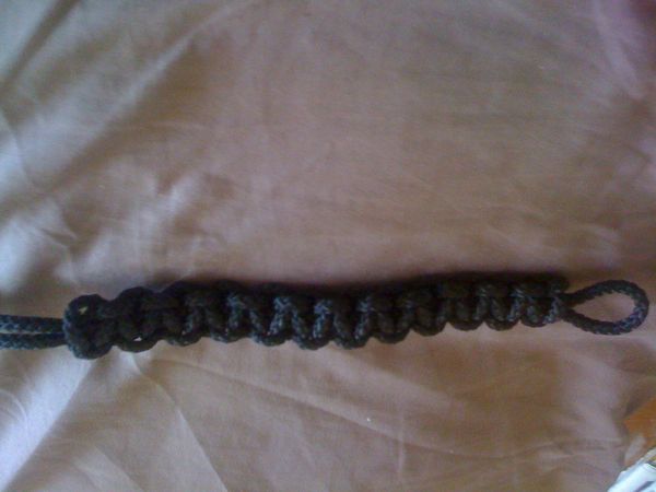 tigercobra 7 Ann�ullin (59)