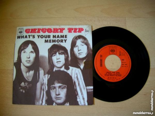 45 TOURS CHICORY TIP What's your name 14 Nantes (44)