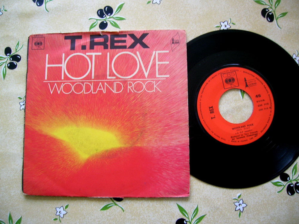 45 TOURS T.REX Hot love 13 Nantes (44)