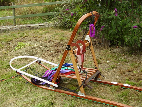 Traineau � chiens sprint plus ligne de trait et harnais. 500 Pierrefiche (48)