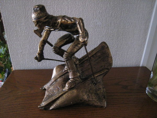 TROPH�E SKI - piste - descente - slalom
20 Sassenage (38)