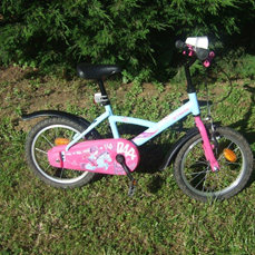 V�lo 16 pouces 50 Rosny-sur-Seine (78)