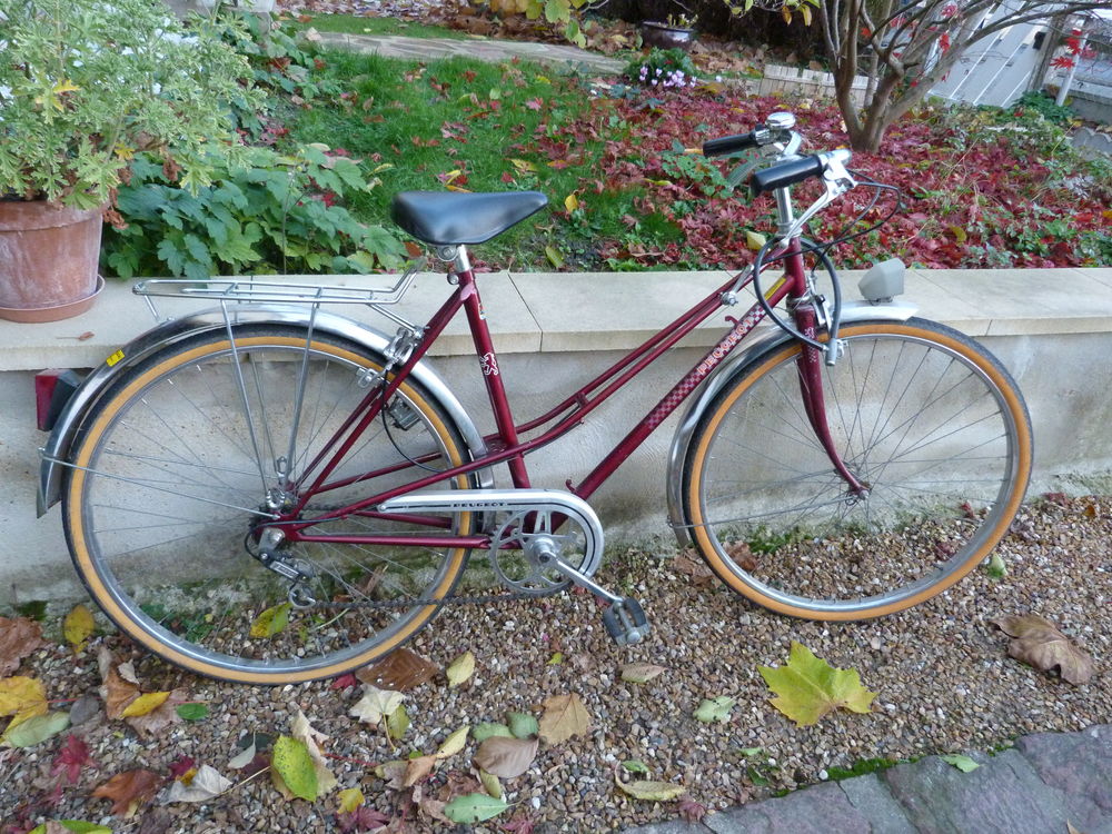 v�lo 100 Nogent-le-Rotrou (28)