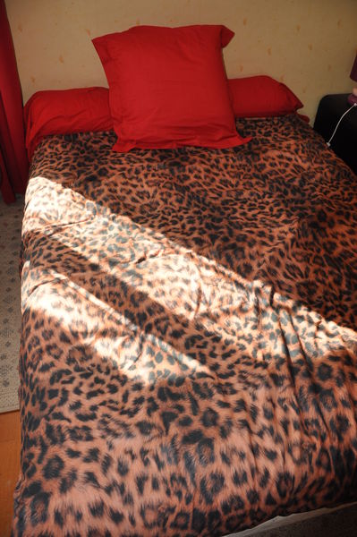 vends lit 140 cm 50 Nevers (58)