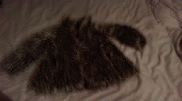 Lot de V�tements de Marque 0 Saint-L�onard (62)