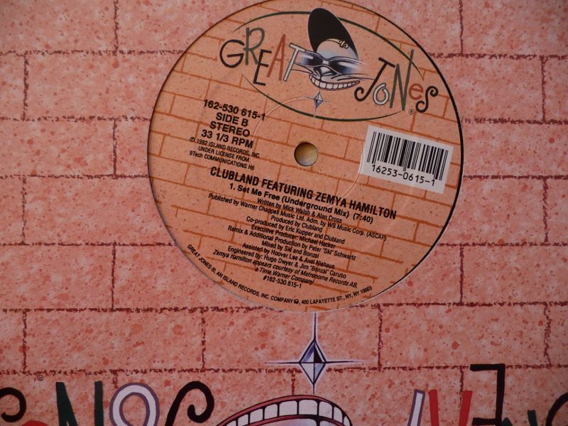 Vinyl ZEMYA HAMILTON 5 Lille (59)