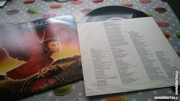 Vinyle Johnny Hallyday 25 Rambouillet (78)