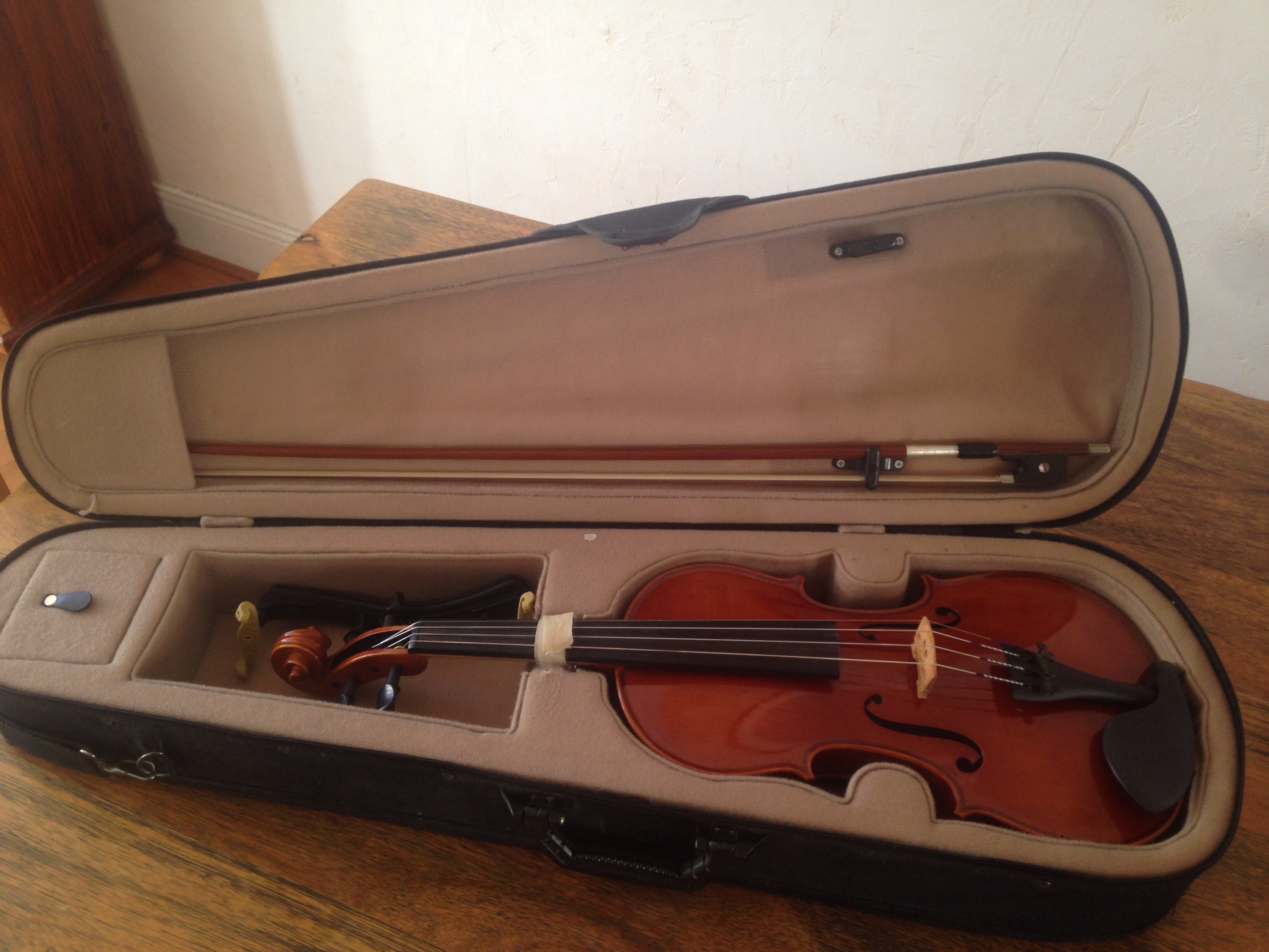 Violon entier 300 Rodez (12)
