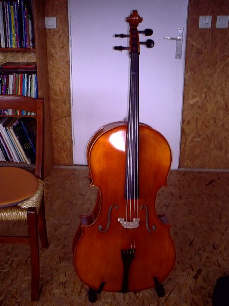 violoncelle d'�tudes 0 Mende (48)