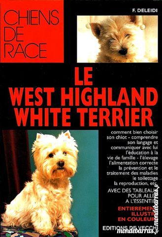 WEST HIGHLAND WHITE TERRIER 13 Laon (02)