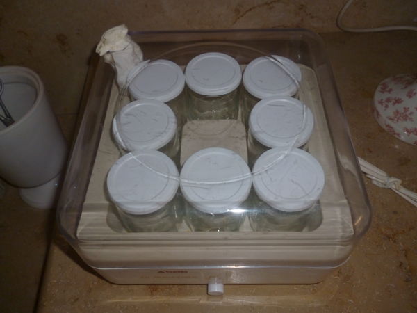 yaoutiere 15 Sor�de (66)