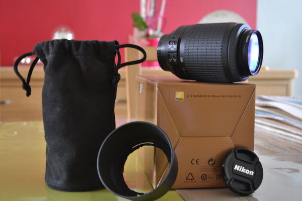 Zoom Nikon 55-200mm 100 Roubaix (59)