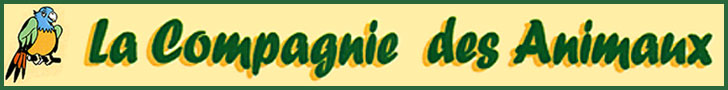 banniere
