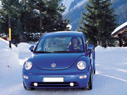 new beetle_2
