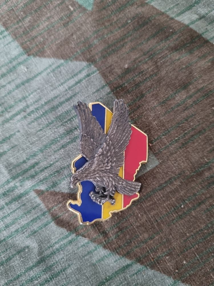 MIL/0003 : Insigne op�ration �pervier 6 Arnouville-l�s-Mantes (78)