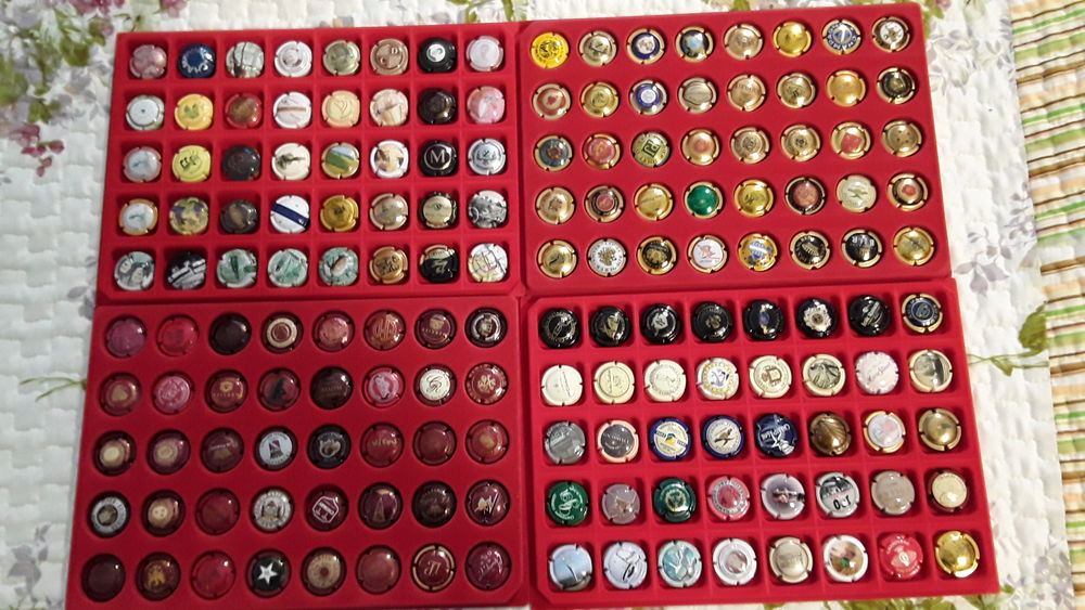 v   1041 capsules de Champagne  dont 1 plaqu� or 24 carats!
0 Saint-Georges-de-Didonne (17)