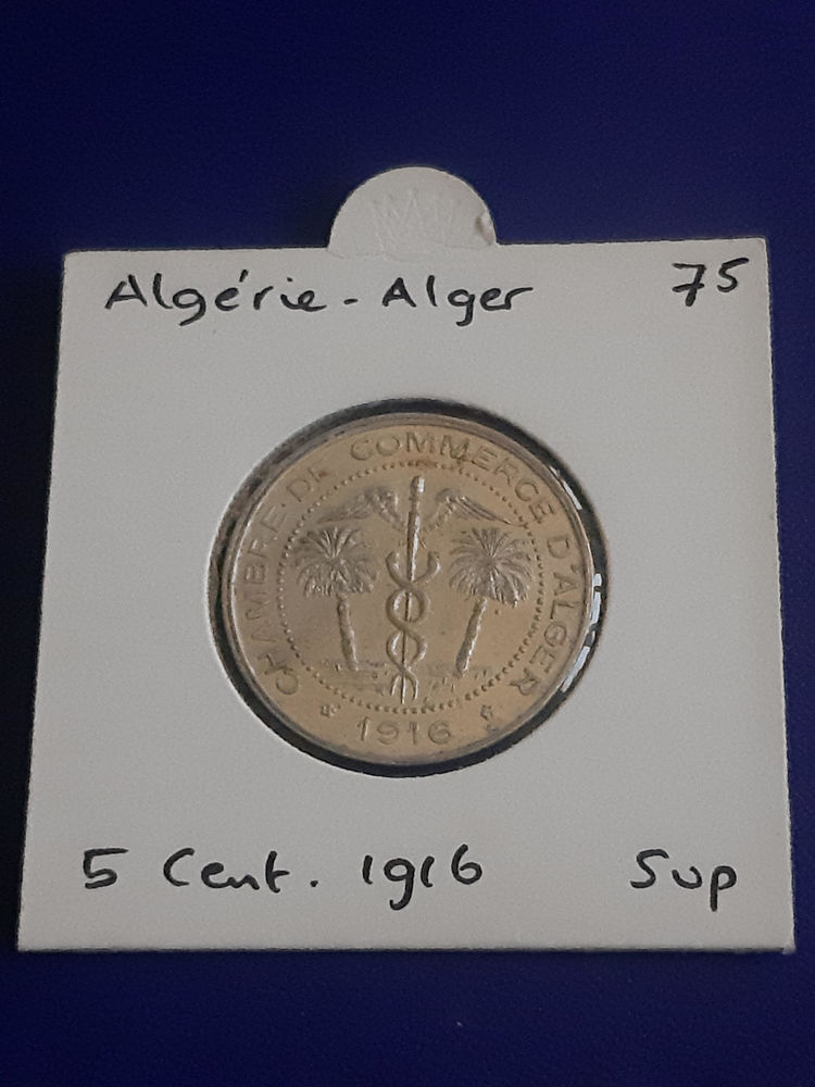 1916 Alg�rie Alger 5 centimes 14 Prats-de-Mollo-la-Preste (66)