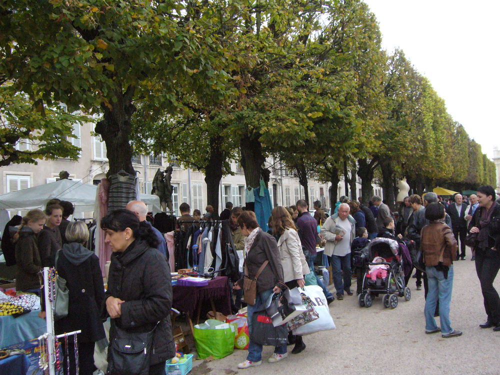 20&egrave;me &eacute;dition du vide-grenier de la Vieille Ville 0 Nancy (54)