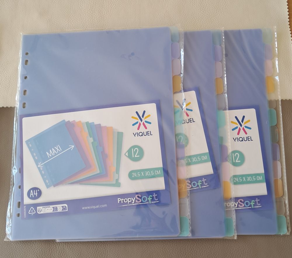 lot de 3x12 intercalaires en plastique marque viquel 
8 Carnon Plage (34)