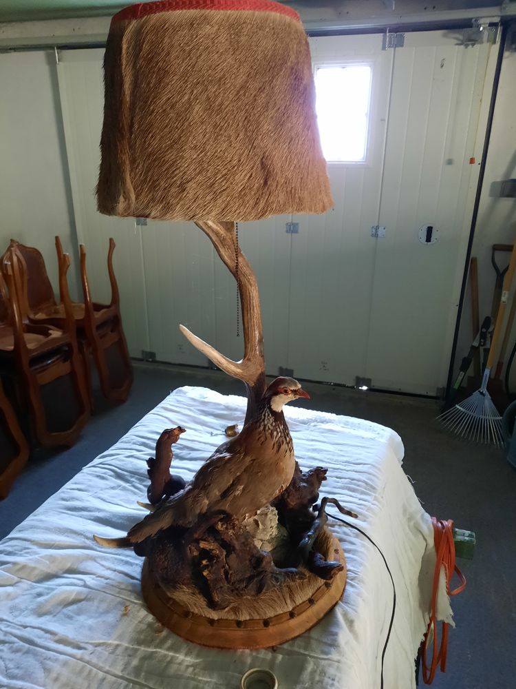 abat jour rare 0 Bellerive-sur-Allier (03)