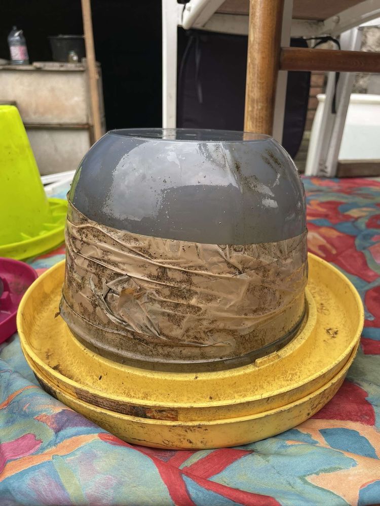 abreuvoir poule 30 Auxy (45)