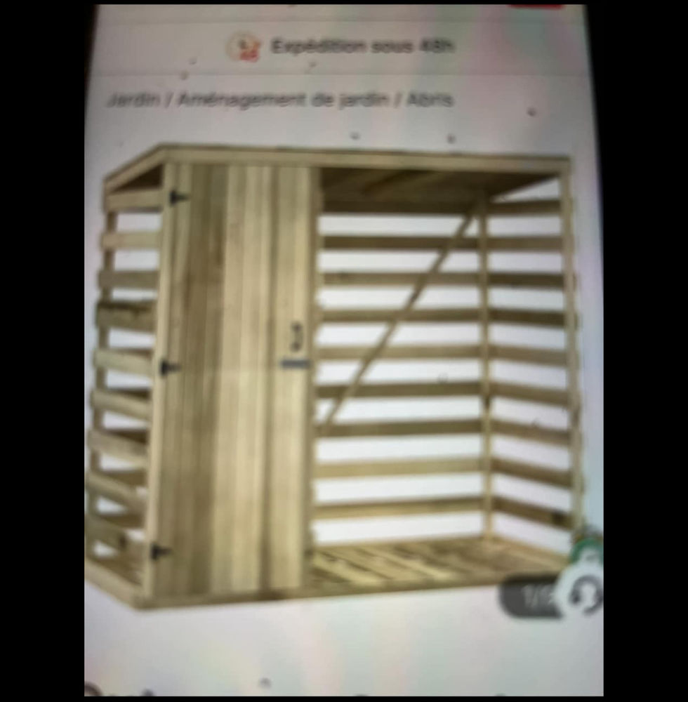 Abri bois avec placard 250 Le Teich (33)