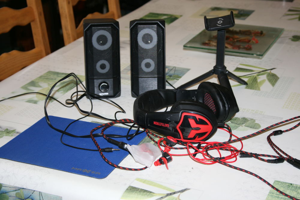 lot accessoires gamer 12 Roman�che-Thorins (71)