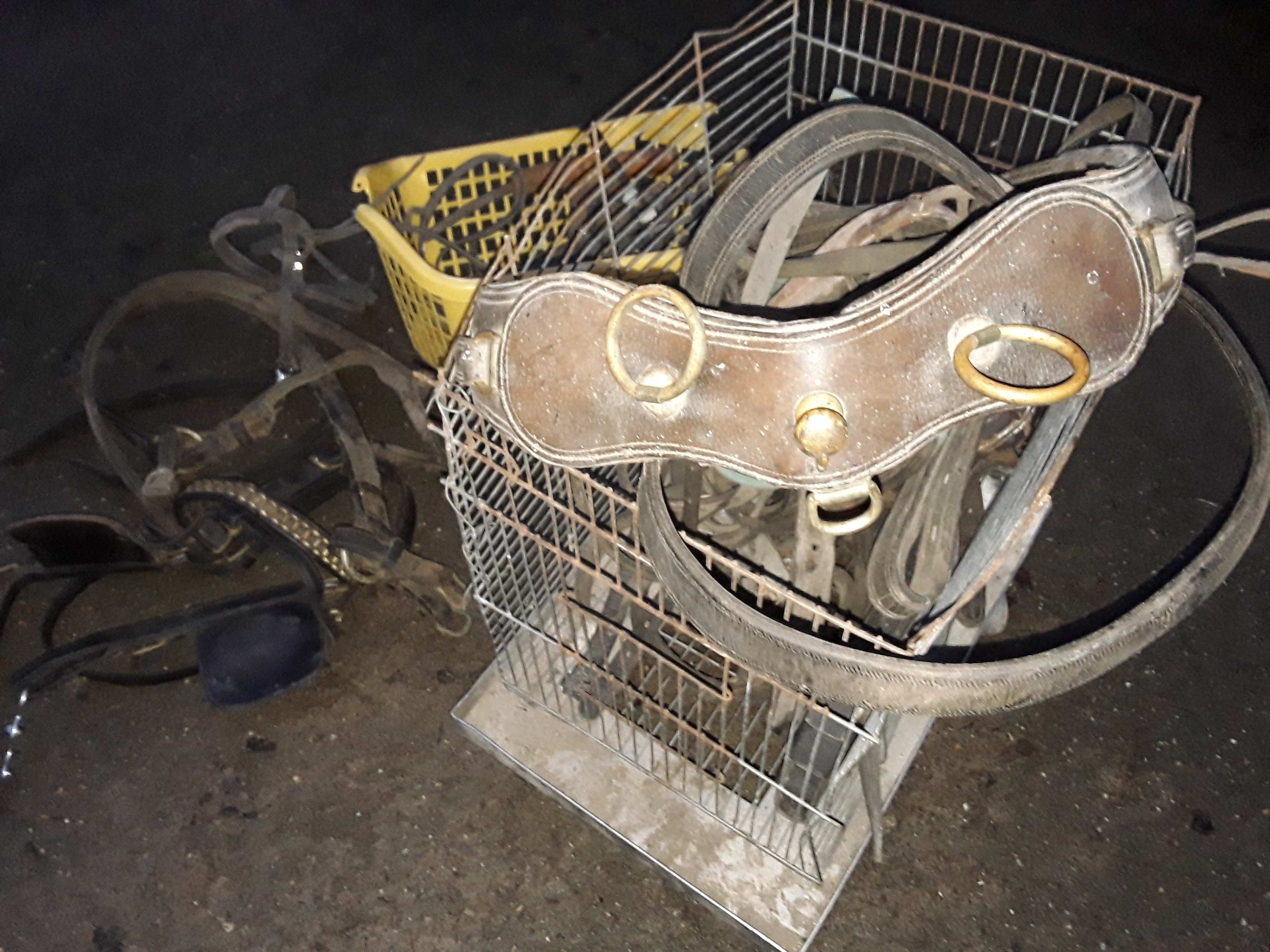 accessoires pour chevaux demi trait 1 Pipriac (35)