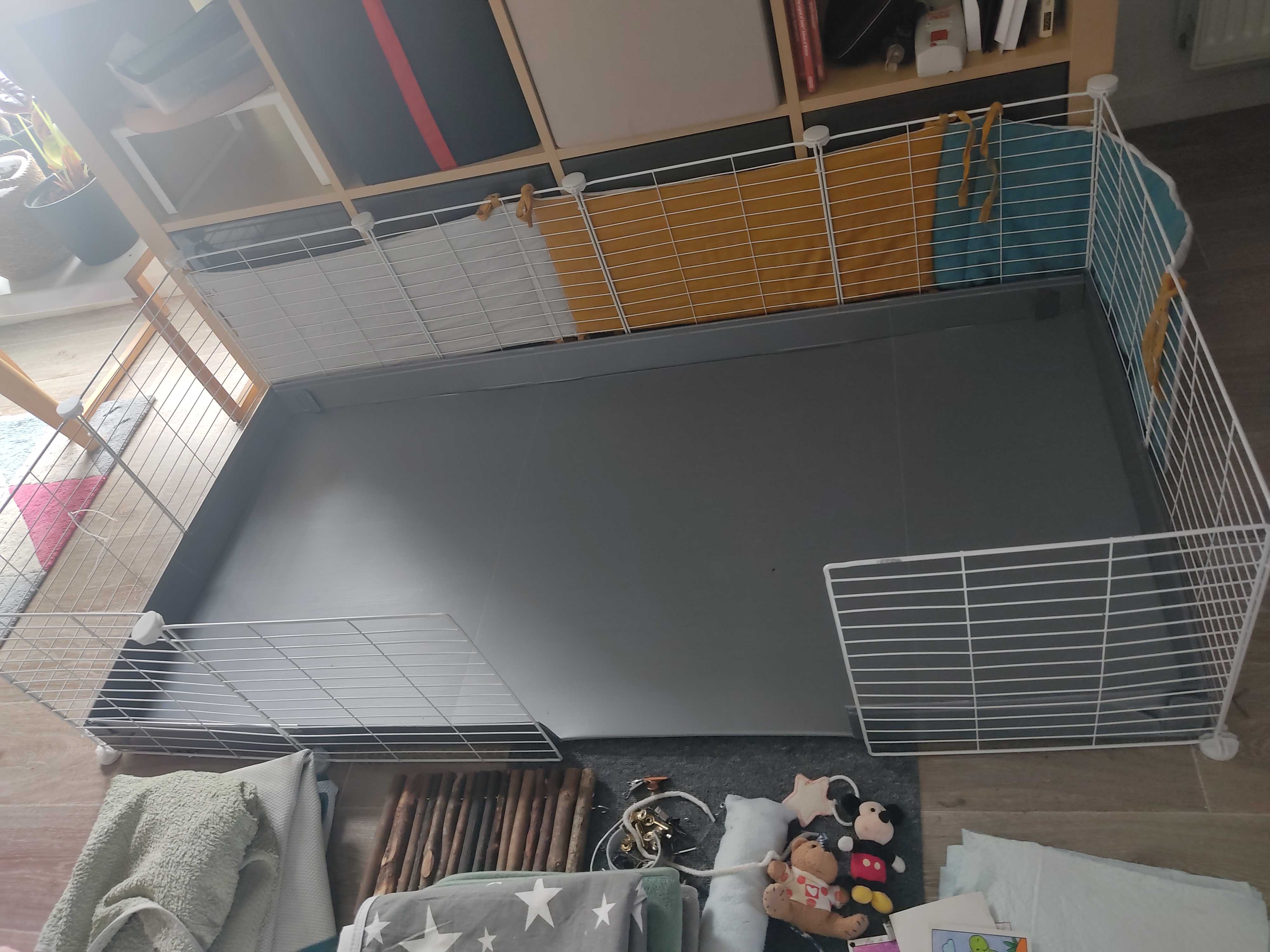 accessoires pour cochon d'Inde 15 Bobigny (93)