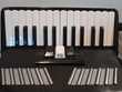 Accord&eacute;on chromatique - touches piano Instruments de musique