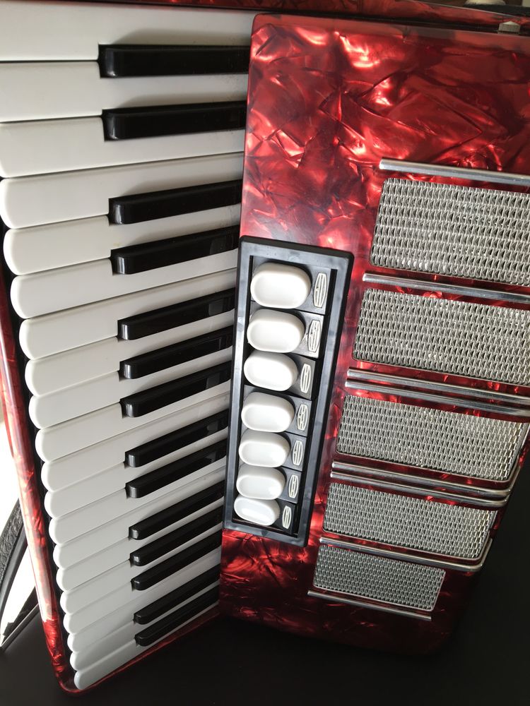 ACCORDEON DELICIA  ARNALDO XIII 990 La Baule-Escoublac (44)