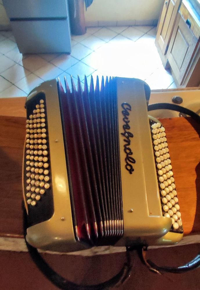 Accord�on diatonique Cavagnolo 600 Plainfaing (88)