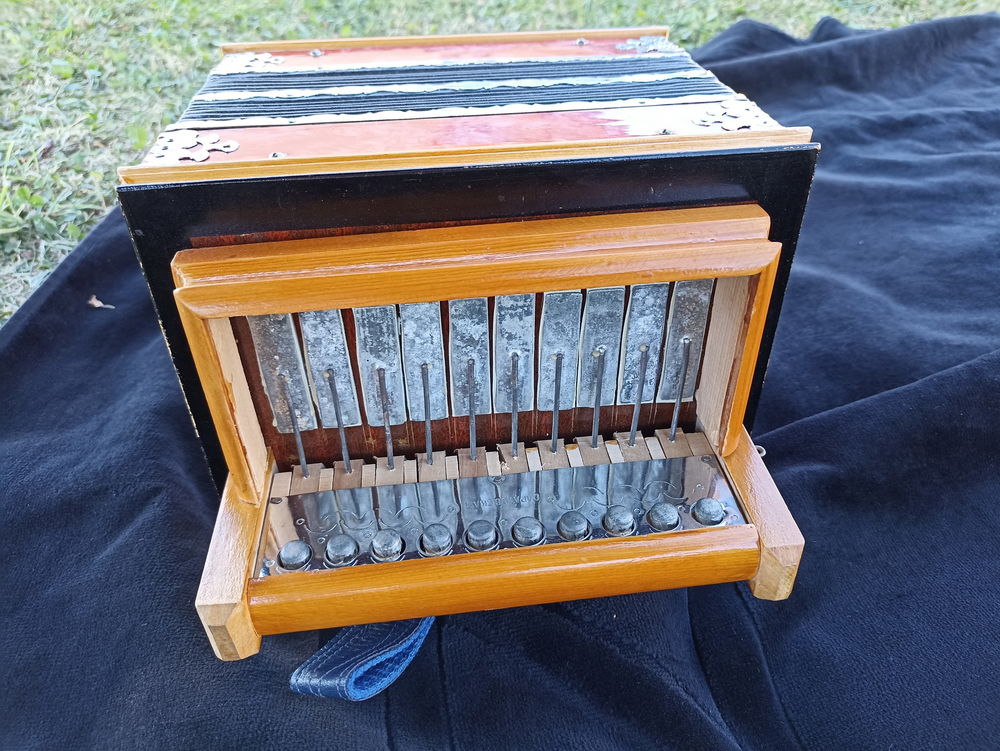 accordeon diatonique � clochettes de Saratov 350 Eyburie (19)