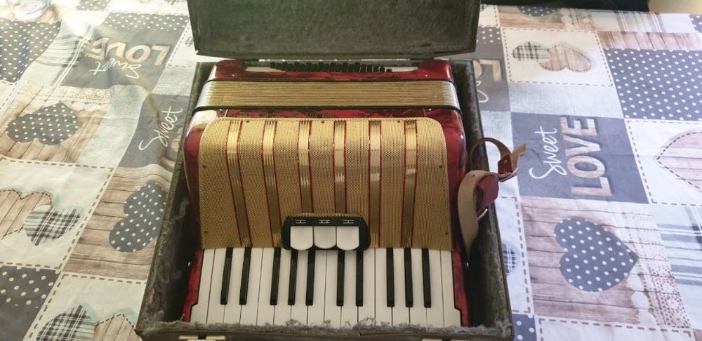 accord�on enfant 900 Lille (59)