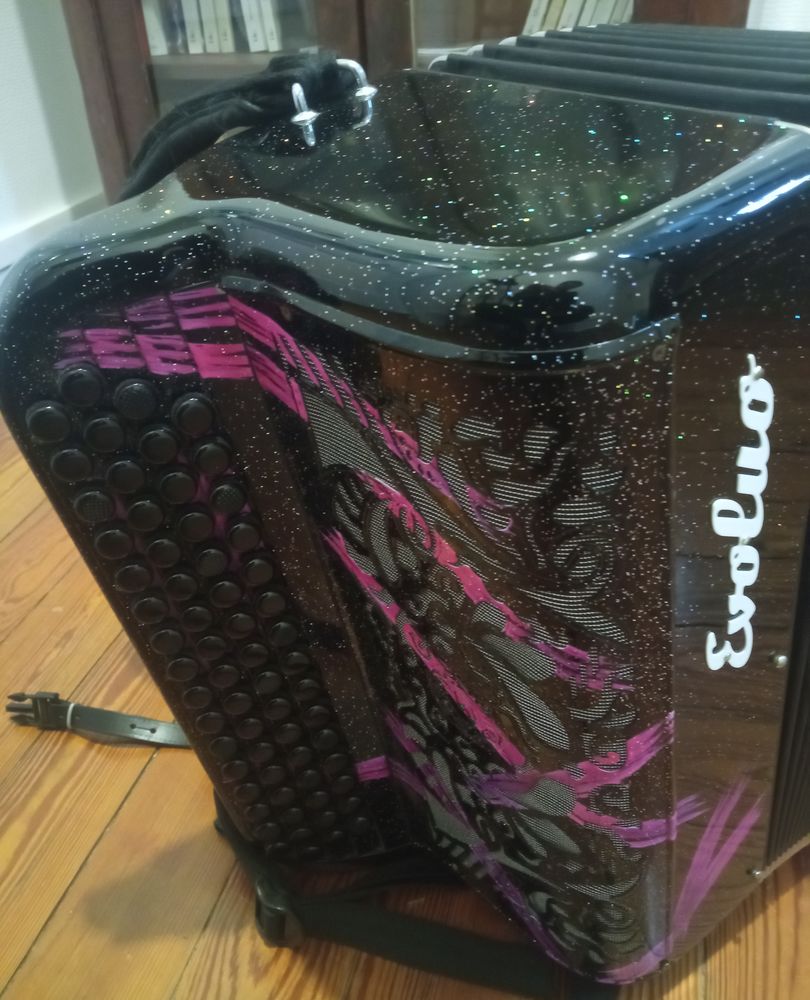 Accord�on Evoluo midi 96 basses 3 voix musette 4000 Flers (61)