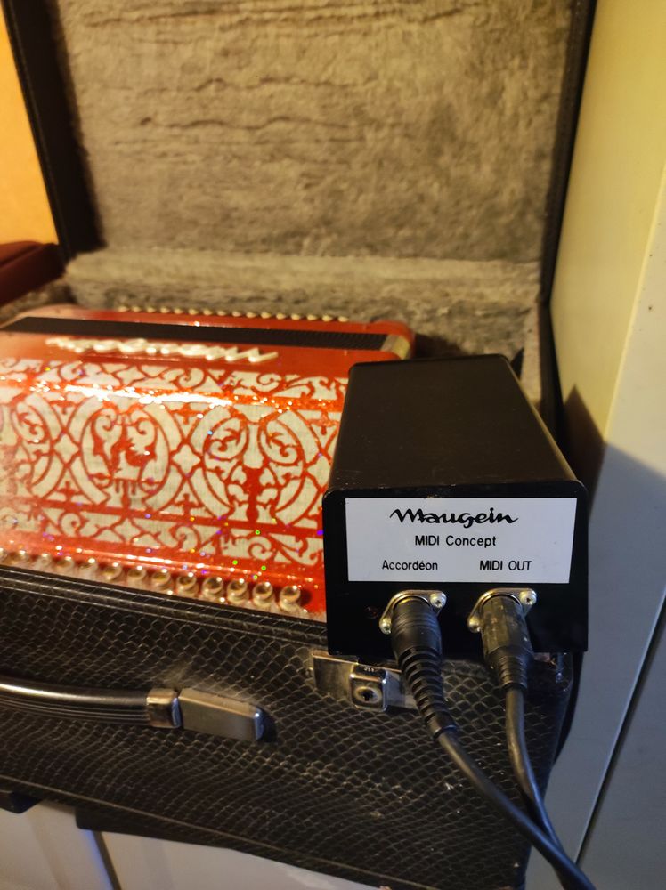 Accord�on Midi 2500 Cadalen (81)