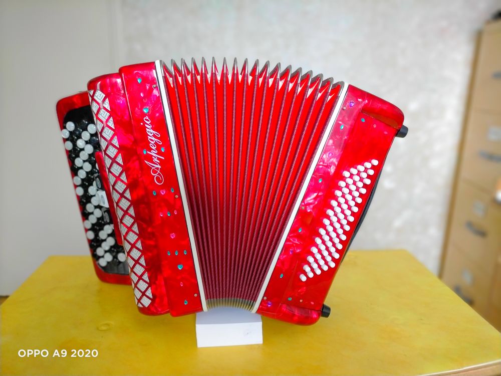 Accord�on pour jeune d�butant 350 Lescar (64)