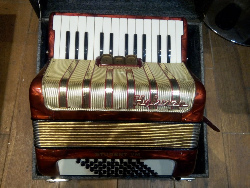 ACCORDEON 350 Saint-Martin-de-Crau (13)